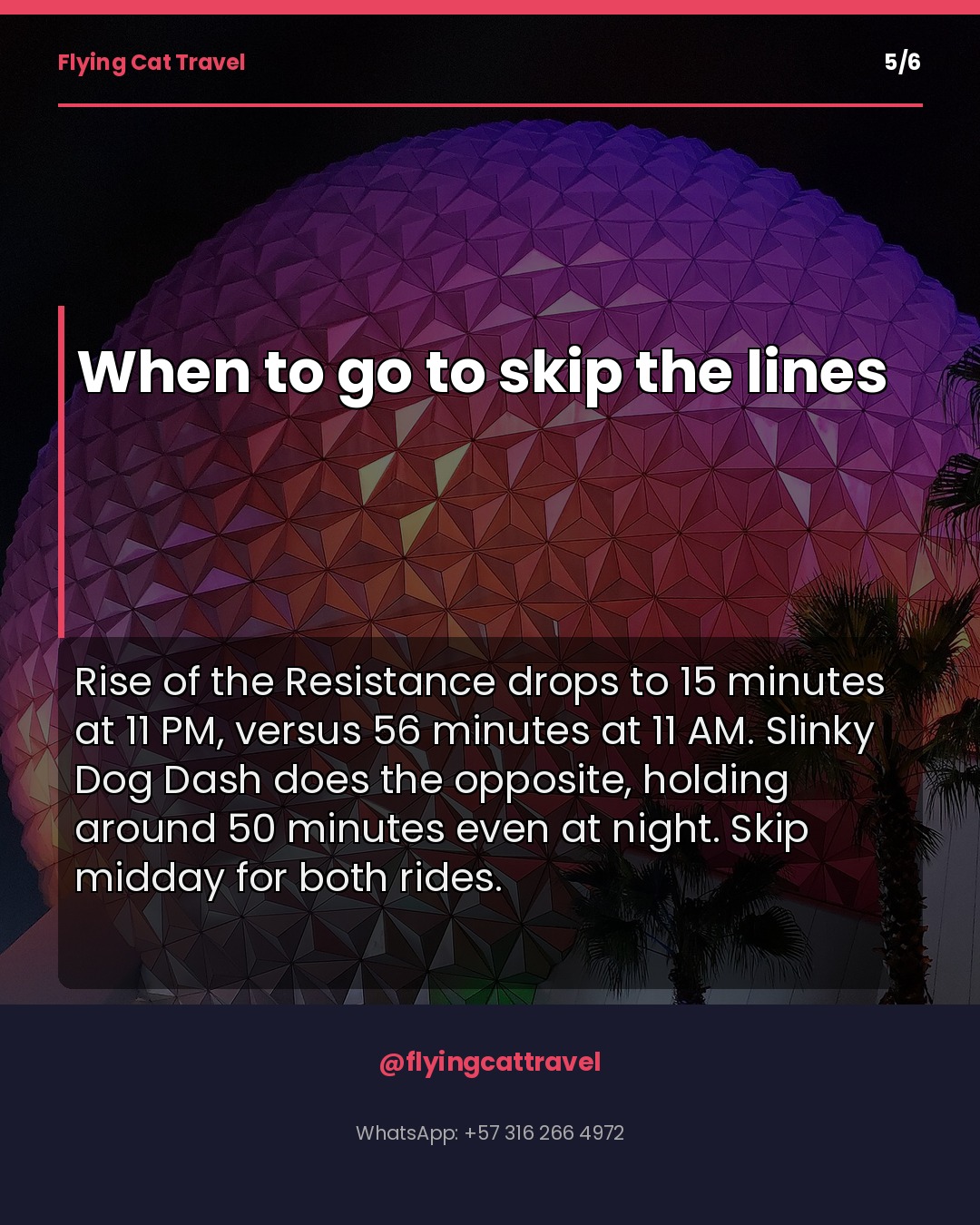Slide 5
