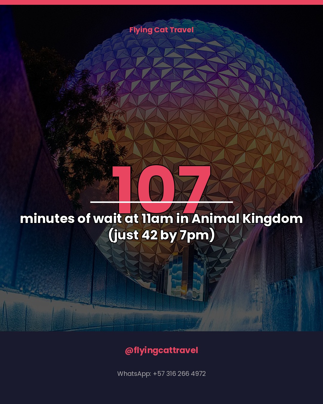 The hour that costs you 65 extra minutes at Animal Kingdom