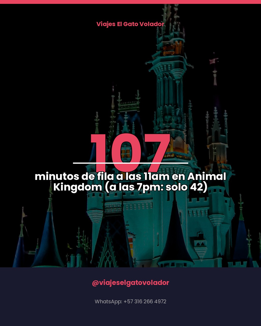 La hora que te cuesta 65 minutos extra en Animal Kingdom