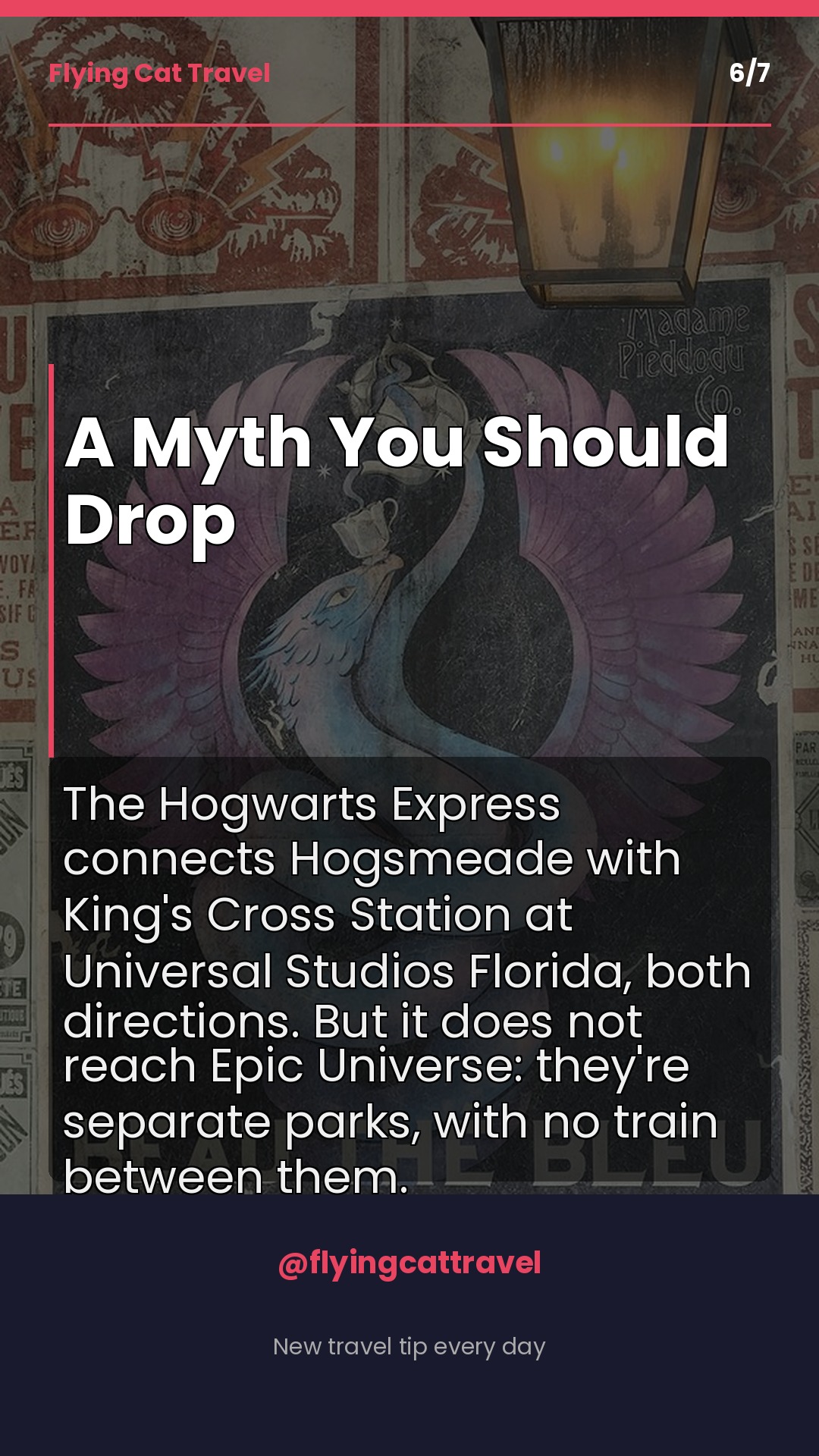 Slide 6