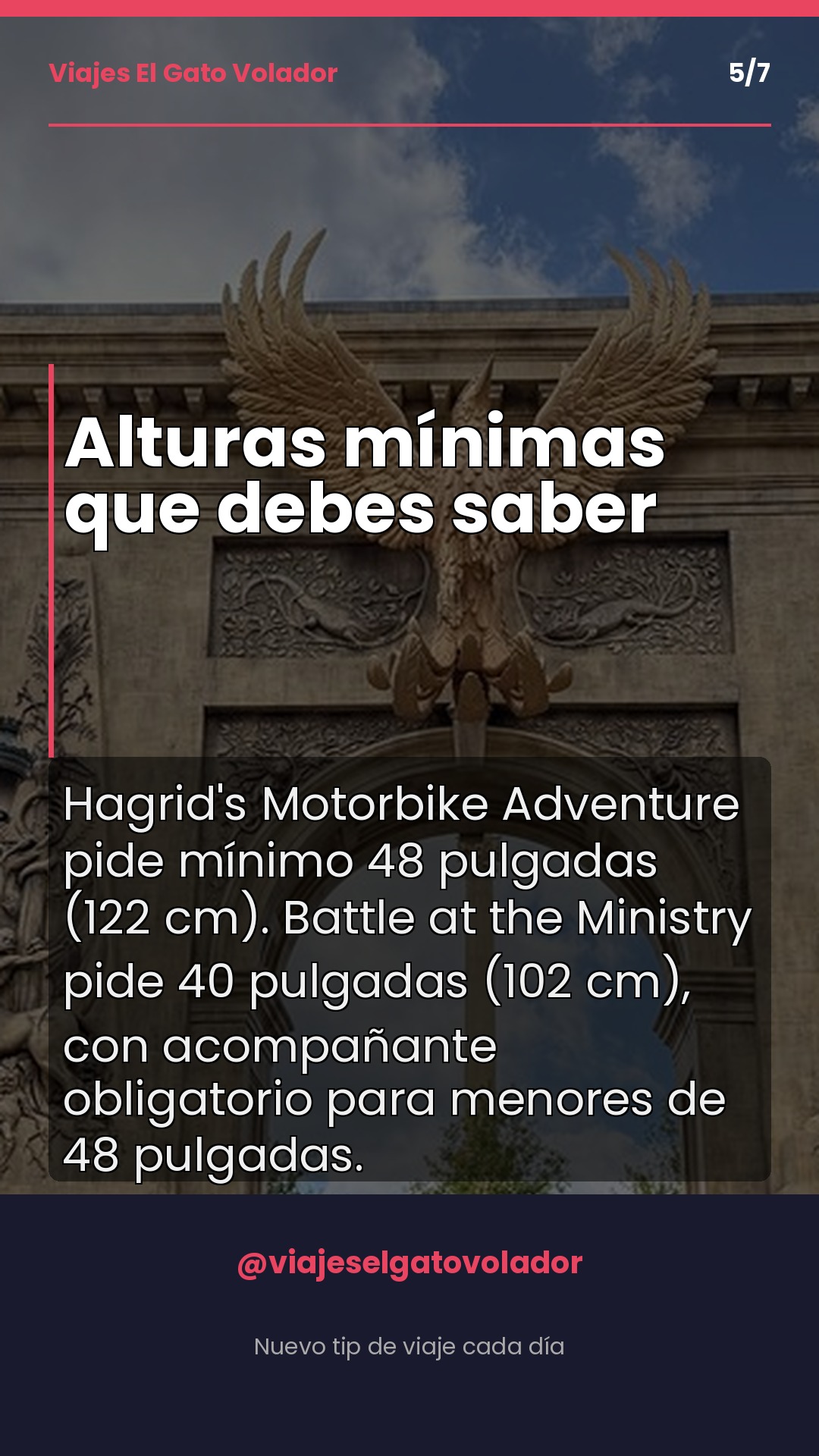 Slide 5