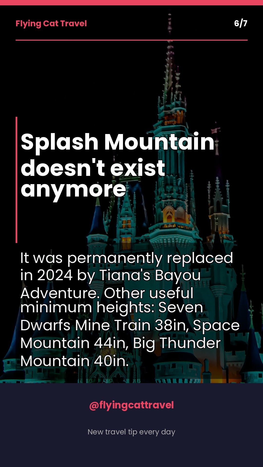 Slide 6