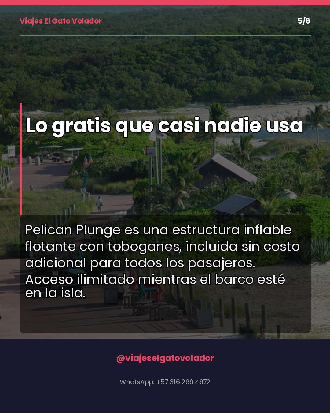 Slide 5