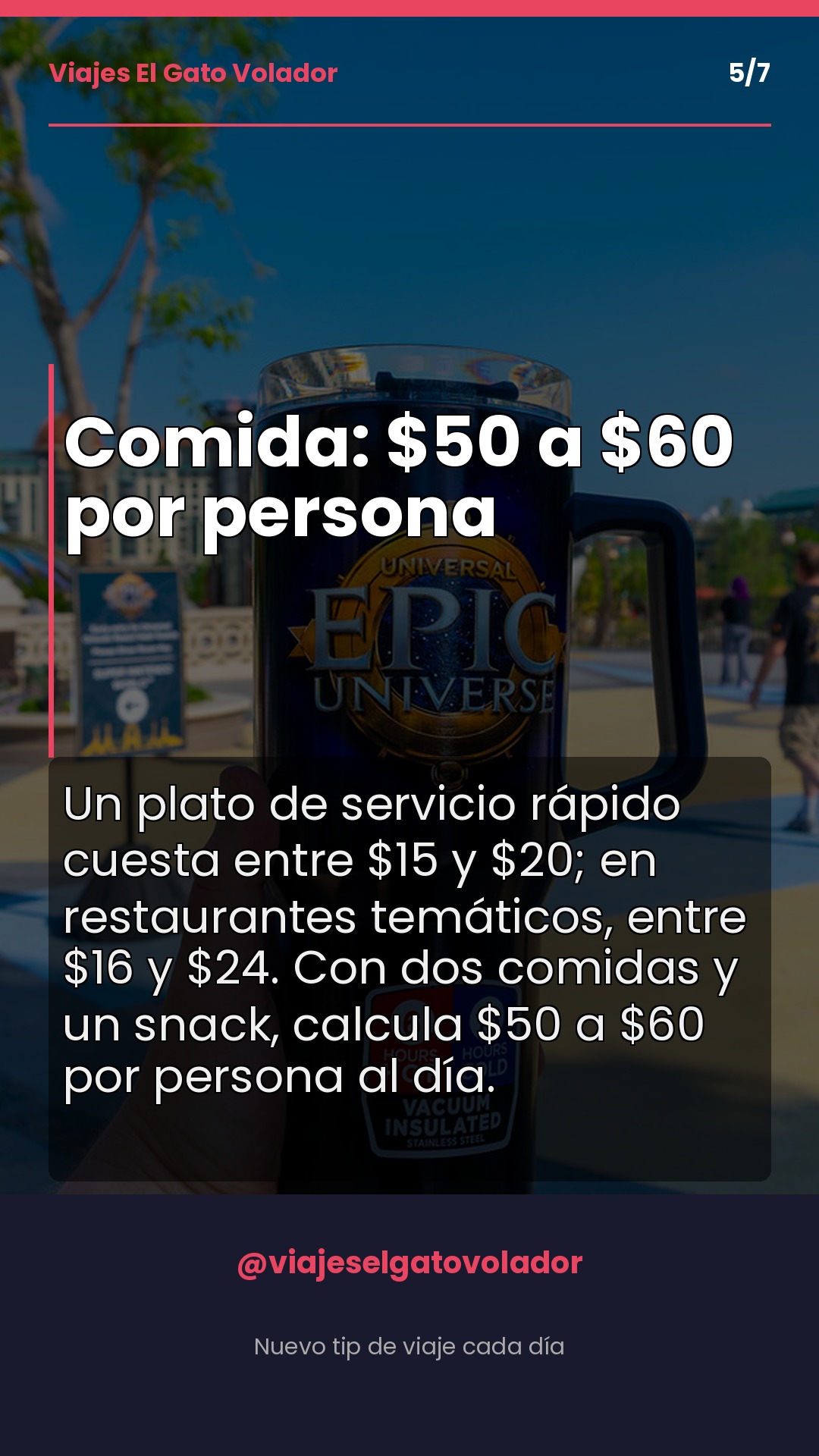 Slide 5